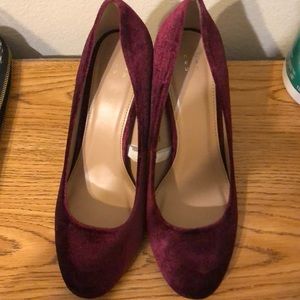 Velvet pumps **never worn**